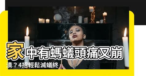 家中有螞蟻如何處理